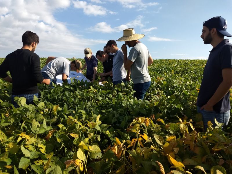 Reunião sobre curso de Manejo Integrado de Pragas (MIP) - Soja será nesta quinta-feira (26)