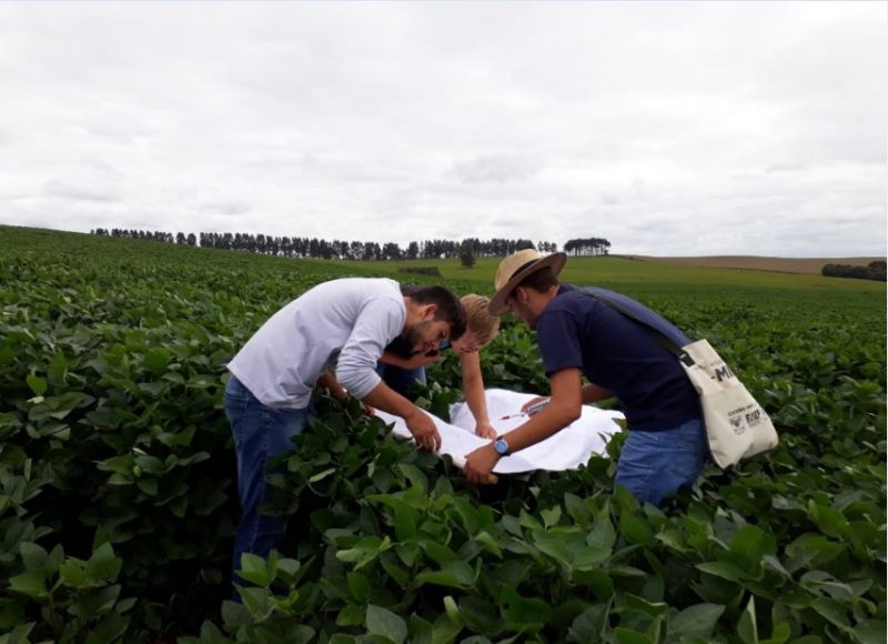 Reunião de sensibilização para o curso de Manejo Integrado de Pragas – Soja é realizada no dia 8 de setembro