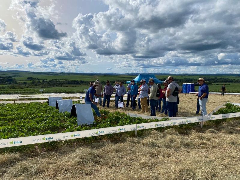 Sistema Enlist®: eficiência no manejo de plantas daninhas