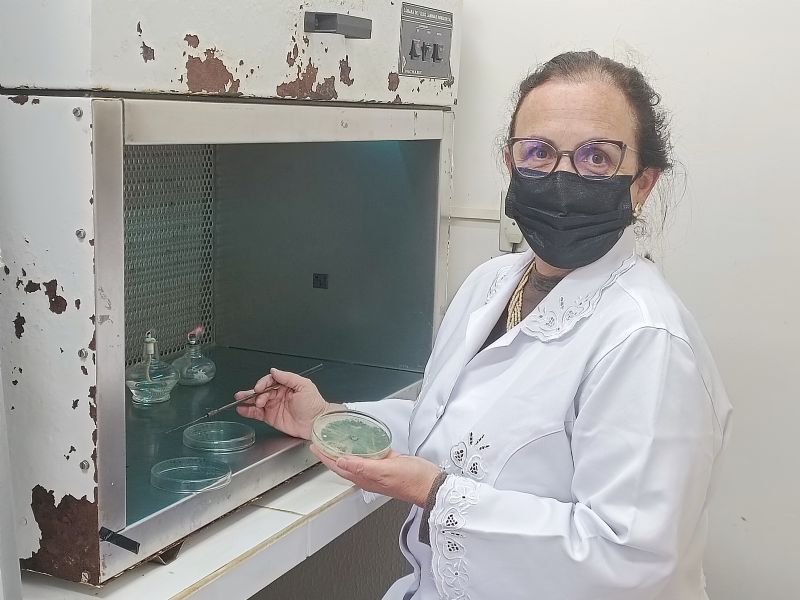 Dedicação ao mundo da pesquisa 