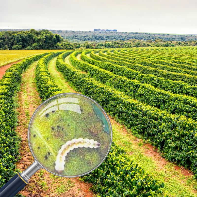 Startup desenvolve tecnologia inovadora para acessibilizar o controle biológico