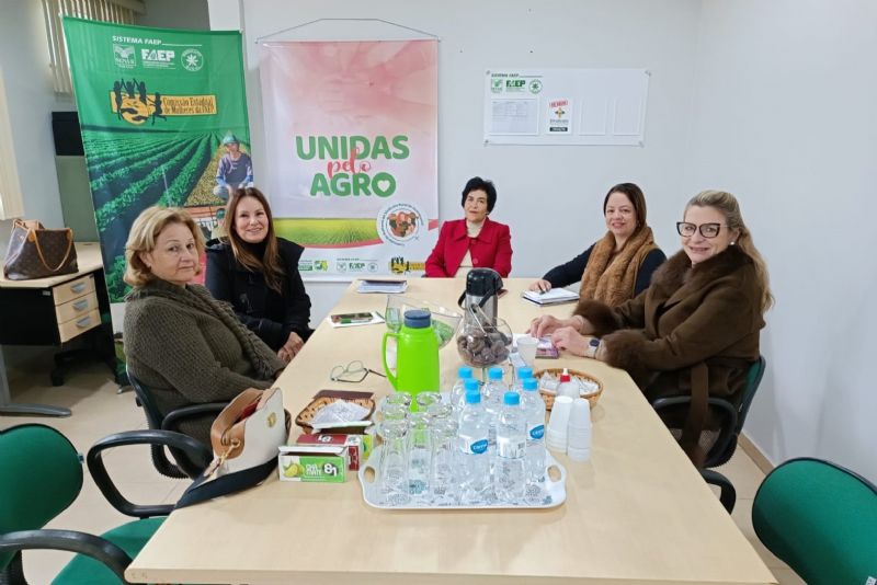 Comissão de Mulheres do Sindicato Rural realiza reunião de trabalho