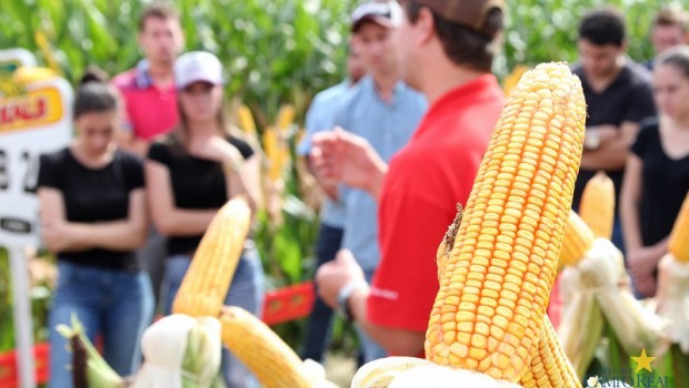 Real Campo Reúne Acadêmicos de Agronomia e Empresas do Setor