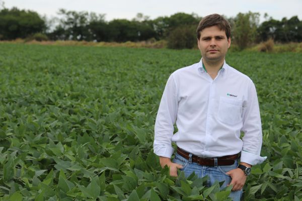 Manejo preciso de nitrog&ecirc;nio