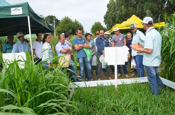 Dia de Campo da Coamig ofereceu informa&ccedil;&otilde;es sobre a produ&ccedil;&atilde;o leiteira