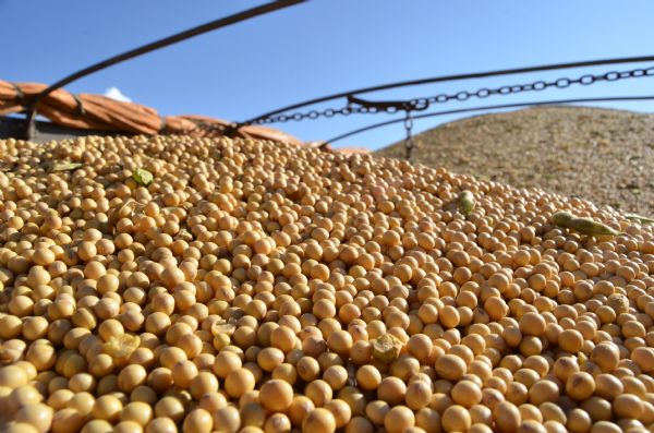 Sindicato Rural sedia painel de custo de produ&ccedil;&atilde;o de gr&atilde;os