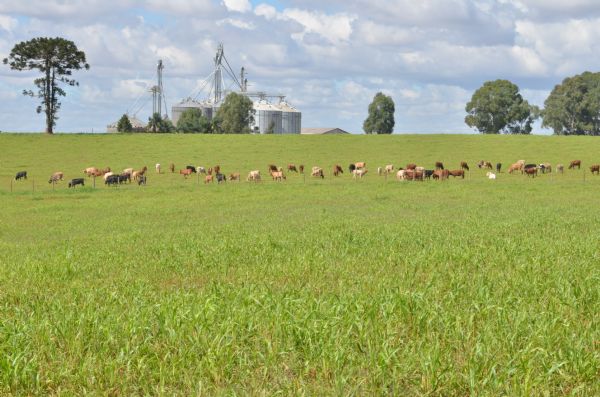  Inscri&ccedil;&otilde;es abertas para curso de Gerente de Pasto