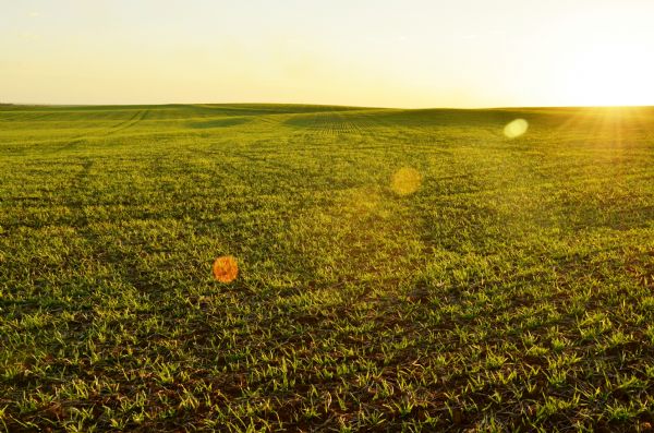 Produtores podem parcelar d&iacute;vidas do Funrural