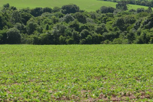 Xico Graziano vem &agrave; Guarapuava apresentar palestra sobre sustentabilidade no agroneg&oacute;cio