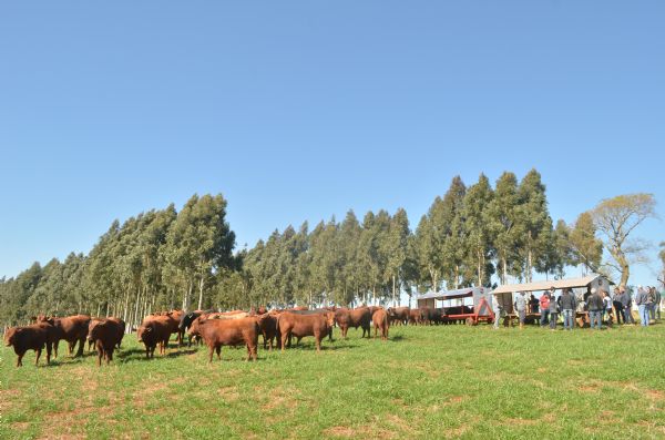 Produ&ccedil;&atilde;o Integrada na pr&aacute;tica
