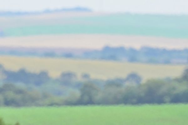 Sindicato Rural de Guarapuava participar&aacute; de reuni&otilde;es do governo e FAEP em Curitiba