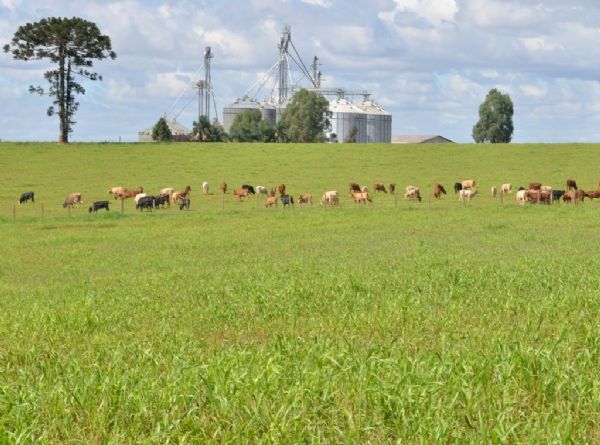 Acad&ecirc;micos v&atilde;o realizar projetos em propriedades