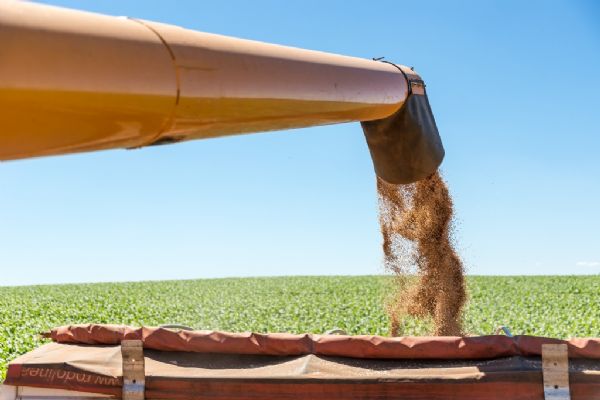 Precocidade no inverno beneficia as culturas de ver&atilde;o