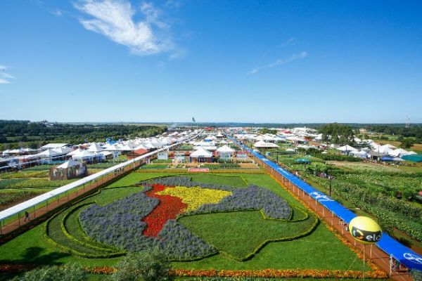 UPL se prepara para apresentar fungicida Triziman® em Cascavel-PR 