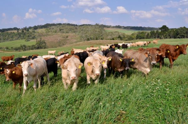 FAEP: NOTA DE REPÚDIO