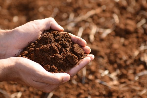 Inscri&ccedil;&otilde;es abertas para curso Manejo de Solo e Água em Propriedades Rurais e Microbacias Hidrogr&aacute;ficas